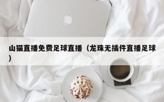 山猫直播免费足球直播（龙珠无插件直播足球）