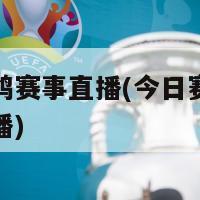 今日赛鸽赛事直播(今日赛鸽赛事全程直播)